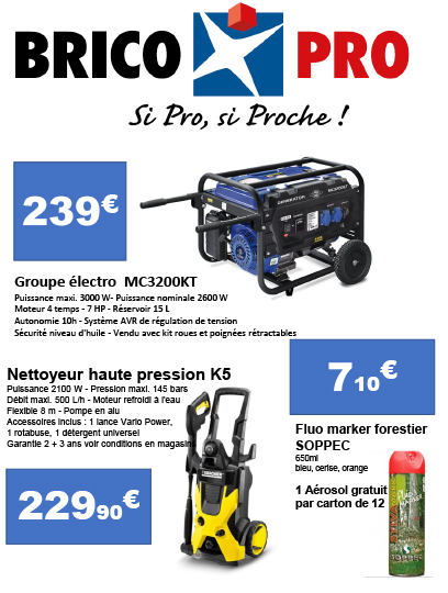 Offre Brico Pro